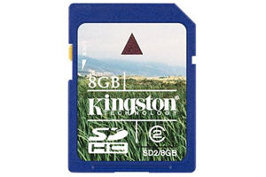 carte memoire kingston 