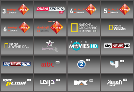 Sports Pictures on Pack Abu Dhabi Sport Hd 12 Mois   Terminal Humax Ir 1020 Hd