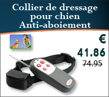 education animaux