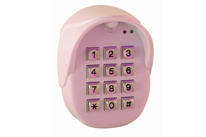 Clavier radio  codes 9V - 1 code matre - 8 codes esclaves - botier plastique 