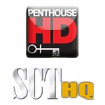 Carte HD Penthouse Arabest-TV 12 mois de Hotbird Viaccess 9 chaînes Pack SCT